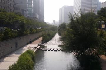Guided Morning Tour in Seoul including the National Museum, Cheonggyecheon Stream and an Amethyst Factory