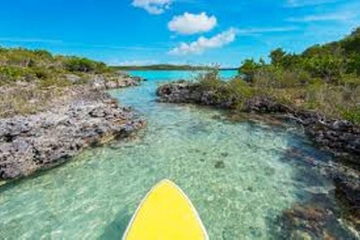 Guided Stand Up Paddleboard Tour Through Mangrove Estuaries