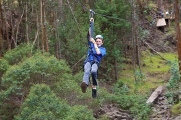 Haleakala Zipline Adventure