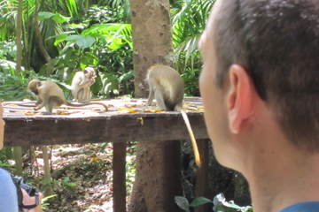 Half-Day Barbados Island Naturally Tour Half-Day Barbados Island Naturally Tour