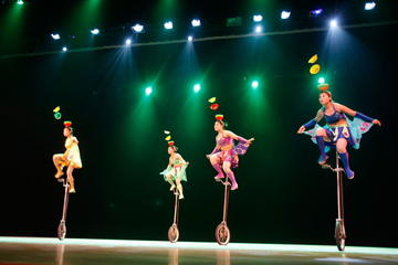 Half-Day Beijing Tour: the Forbidden City, Hongqiao Market, Acrobatic Show and Gourmet Beijing Duck Diner