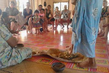 Half-Day Coral Coast Tour of Traditional Fiji from Nadi