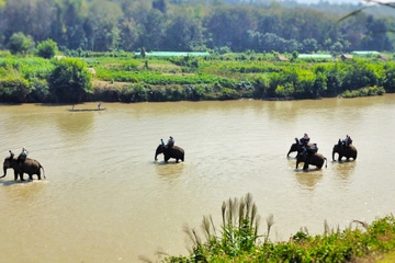 Half-Day Experience: Elephant Village Camp, Lao long boat ride and Tad Sae Waterfall