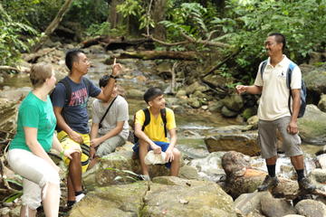 Half-Day Jungle Trek from Langkawi