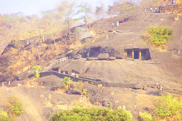 Half-Day Private Trip to Sanjay Gandhi National Park from Mumbai Including the Kanheri Caves