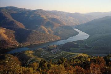 Half-Day Tour of Douro and Wine Tasting