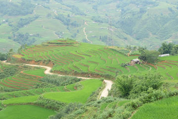 Half-Day Trip to Heaven's Gate from Sapa