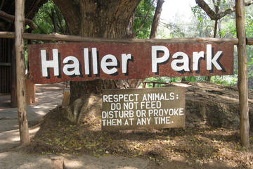 Haller Park and Mamba Village Day Trip