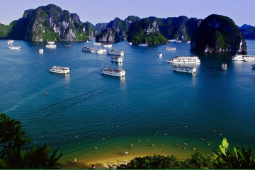 Halong Bay day cruise to Sung Sot cave - Titop Island