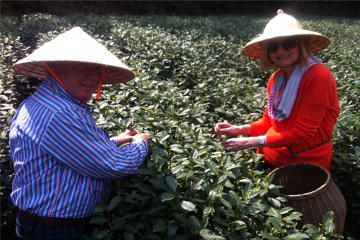Hangzhou Tea Culture Day Tour