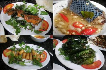 Hanoi Snake Village Tour Including Food Tastings