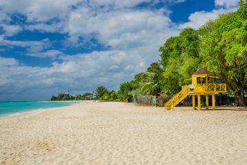 Harrison's Cave and Bathsheba Tour in Barbados