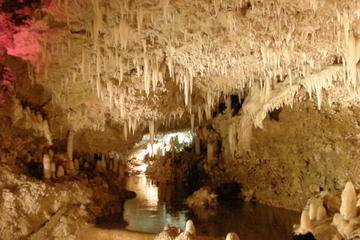 Harrison's Cave Tour in Barbados