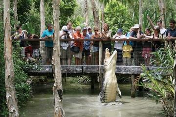 Hartley's Crocodile Adventure Half-Day Tour