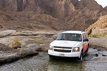 Hatta Heritage Village and UAE Desert Tour by 4x4 from Dubai