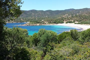 Half-Day Tour of Sardinia's Hidden Beaches
