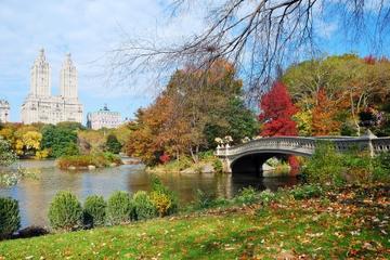 Highlights of Central Park Walking Tour