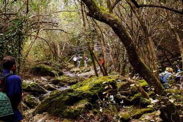 Hiking Excursion from Seville