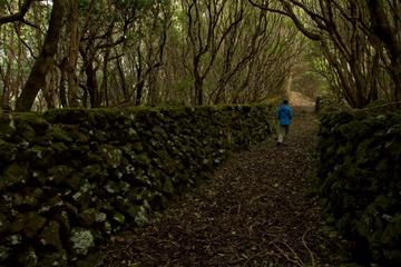 Hiking in the Azores islands