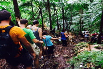 Hiking Mount Liamuga Volcano in St Kitts