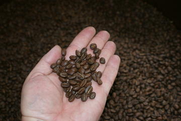 History and Tasting Coffee Tour in Bogotá History and Tasting Coffee Tour in Bogotá