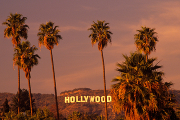 Hollywood Celebrity Homes Tour