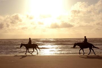 Horseback Beach Rides on Amelia Island
