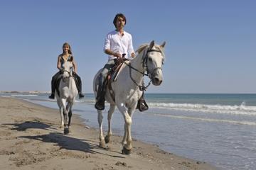 Horseback Riding and Beach BBQ in St Lucia Horseback Riding and Beach BBQ in St Lucia