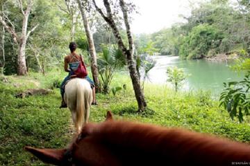 Horseback Riding and Tour in San Lorenzo Organic Farm Horseback Riding and Tour in San Lorenzo Organic Farm