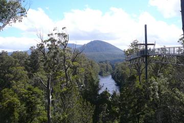 Huon Valley and Tahune Forest Airwalk Tour from Hobart