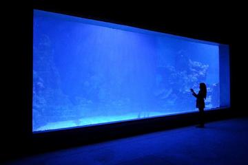 Hurghada Grand Aquarium
