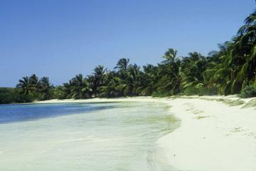 Isla Contoy Day Trip: Snorkeling at Ixlache Reef and Eco-Paradise Tour