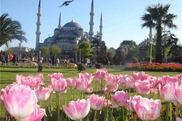 Istanbul Highlights Walking Tour