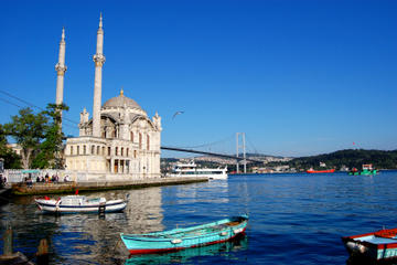 Istanbul Shore Excursion: Bosphorus Cruise and Istanbul Egyptian Bazaar