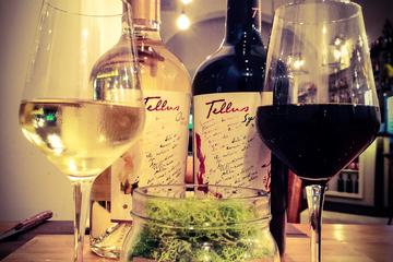 Italian Experience: Wine and Food Tasting in Rome