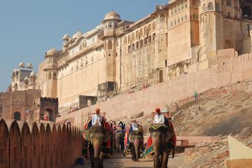 Jaipur Sightseeing Day Tour