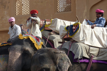 Jaipur Sightseeing Private Day Tour