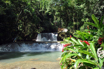 Jamaican South Coast Private Sightseeing Tour