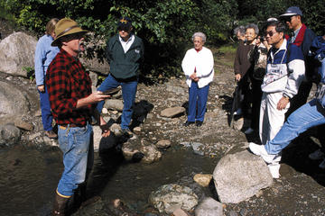Juneau Shore Excursion: Gold Mining and Panning at Gold Creek from Juneau