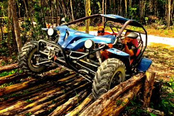 Jungle Buggy Tour from Playa del Carmen