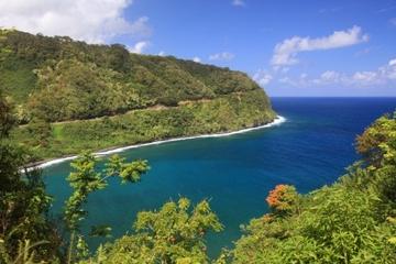 Kahului Shore Excursion: Heavenly Hana Tour