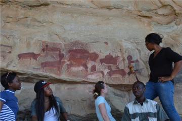 Kamberg Bushman Rock Paintings Tour from Durban