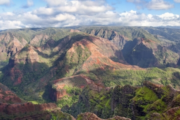 Kauai Shore Excursion: Journey to Waimea Canyon