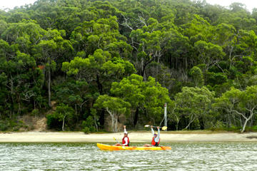 Kayak and Bushwalking Day Tour from the Gold Coast Including Currumbin Wildlife Sanctuary Kayak and Bushwalking Day Tour from the Gold Coast Including Currumbin Wildlife Sanctuary