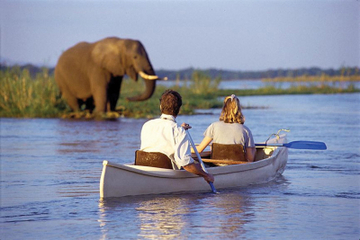 Kayak Safari on the Zambezi River with Transport from Livingstone