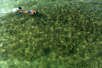 Kealakekua Bay Snorkeling Tour With Optional Honaunau Bay