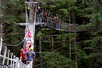 Ketchikan Shore Excursion: Rainforest Zipline Adventure