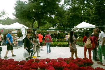 Kifissia district and Goulandris Natural History Museum Half-Day trip