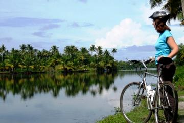 Kochi Bike Tour and Backwaters Cruise