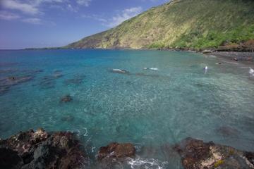 Kona Shore Excursion: Kona History and Culture Tour